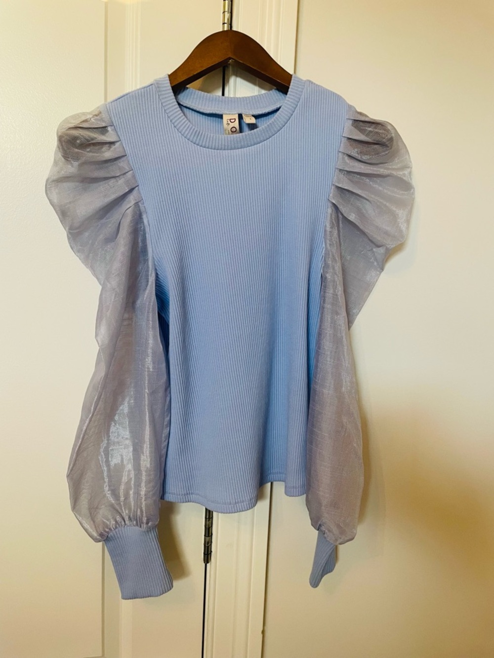 Anthropologie Powder Blue Ribbed Top with Sheer Organza Puff Sleeves